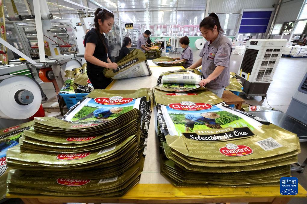 最新手机登录皇冠界面